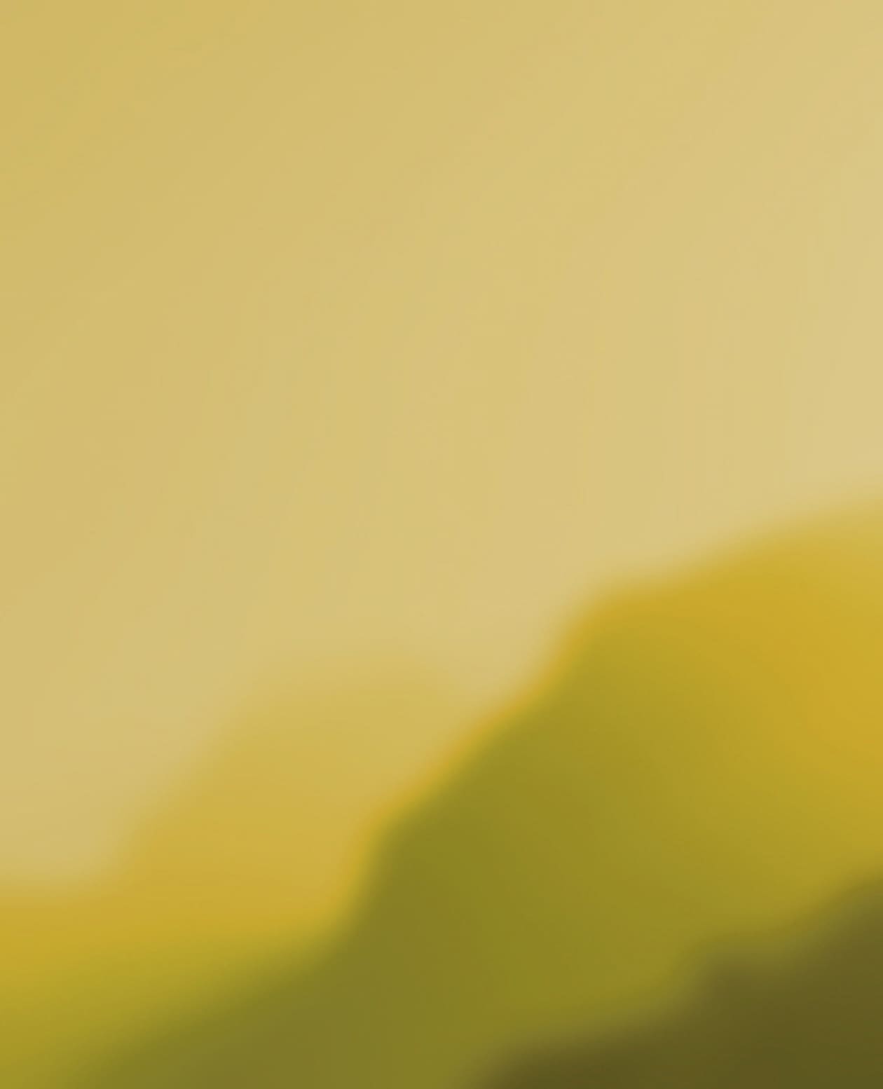 product_bg