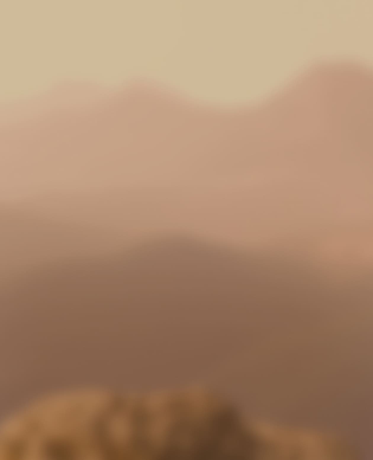 product_bg