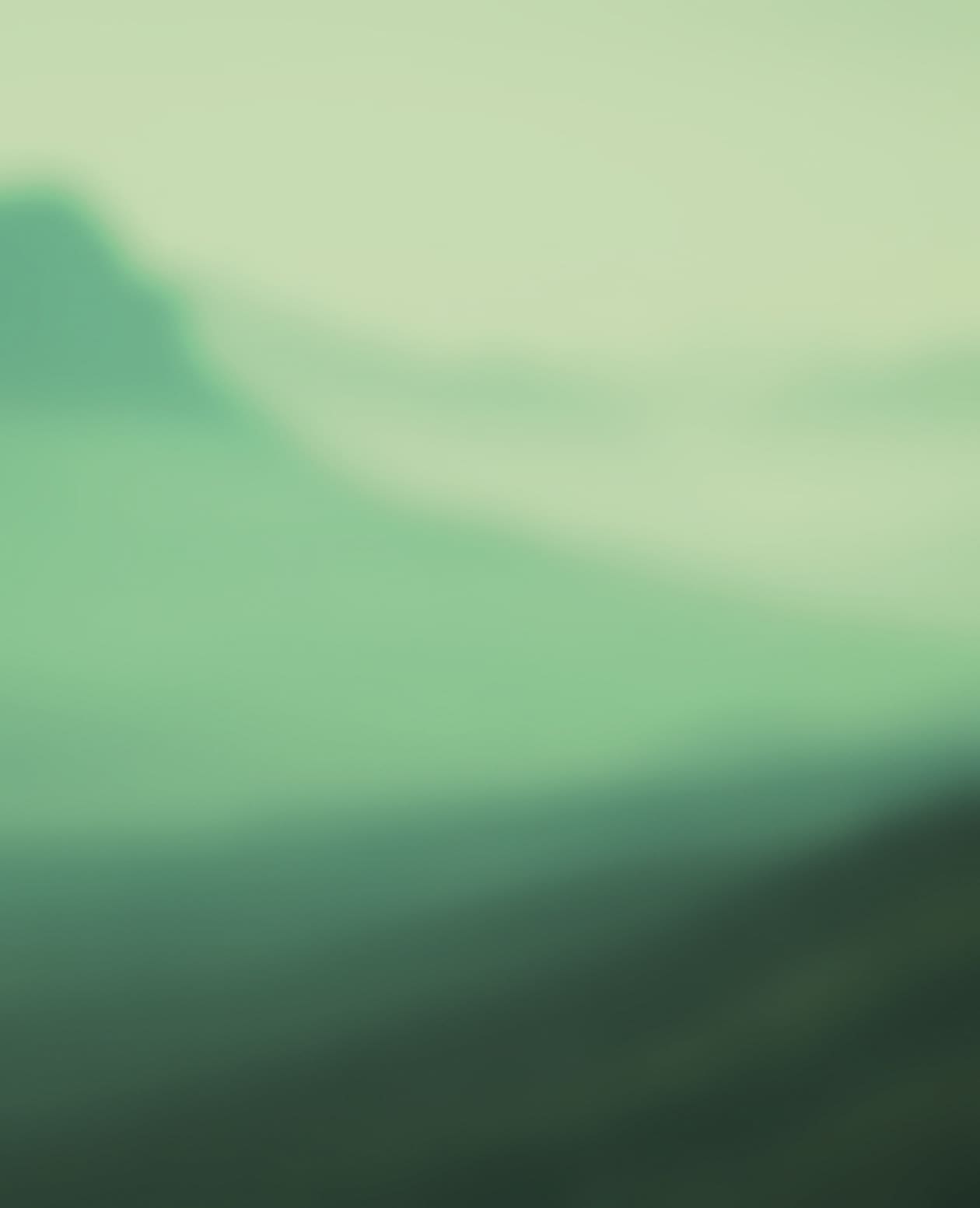 product_bg