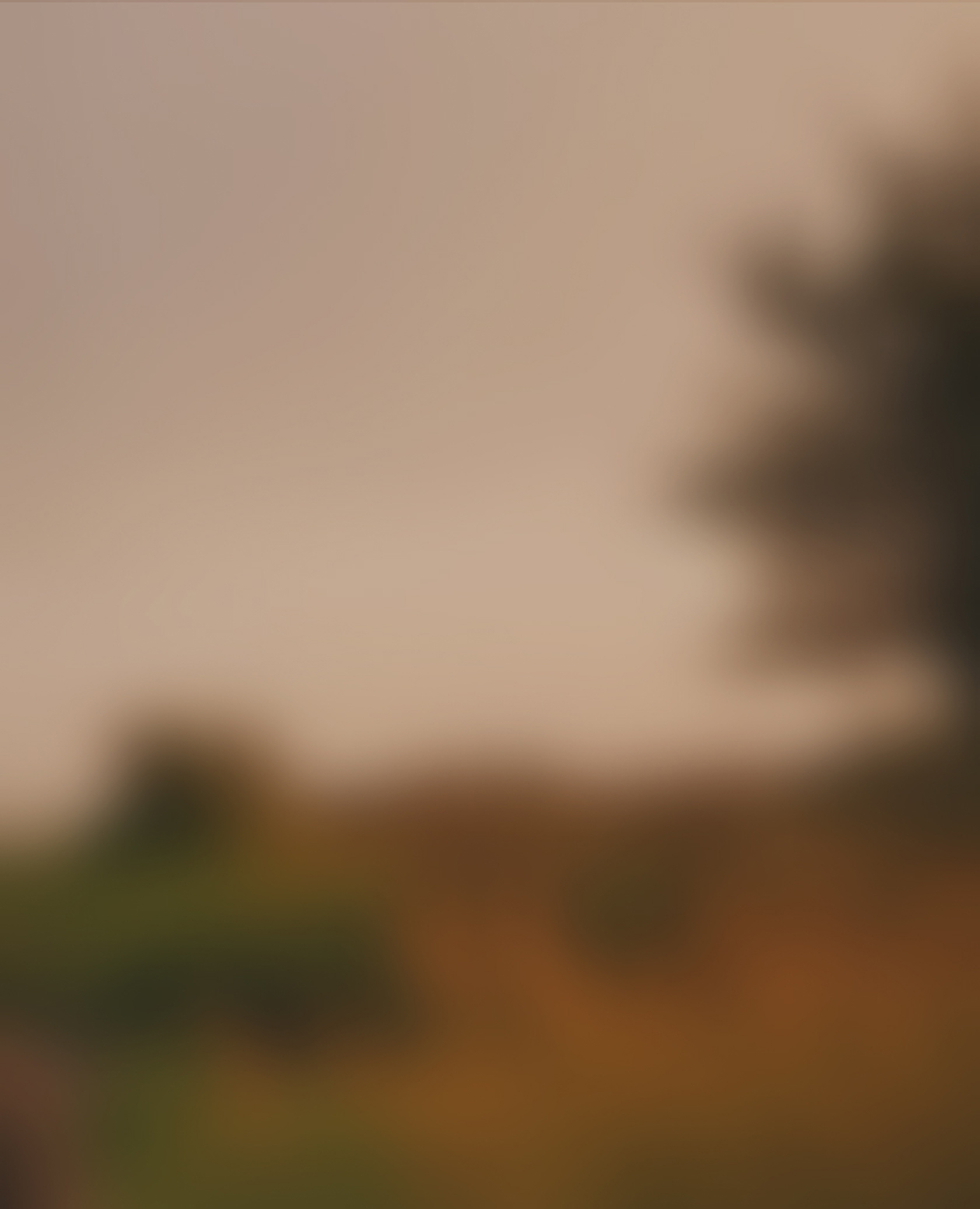 product_bg