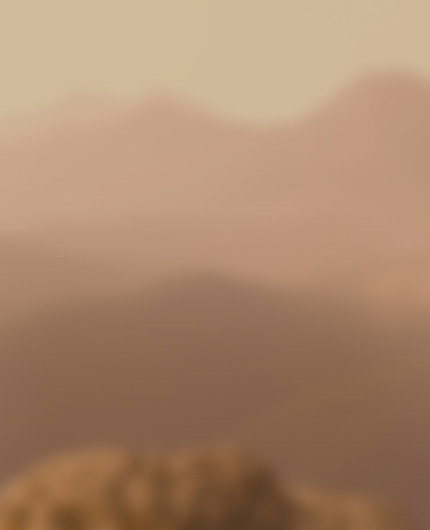 product_bg