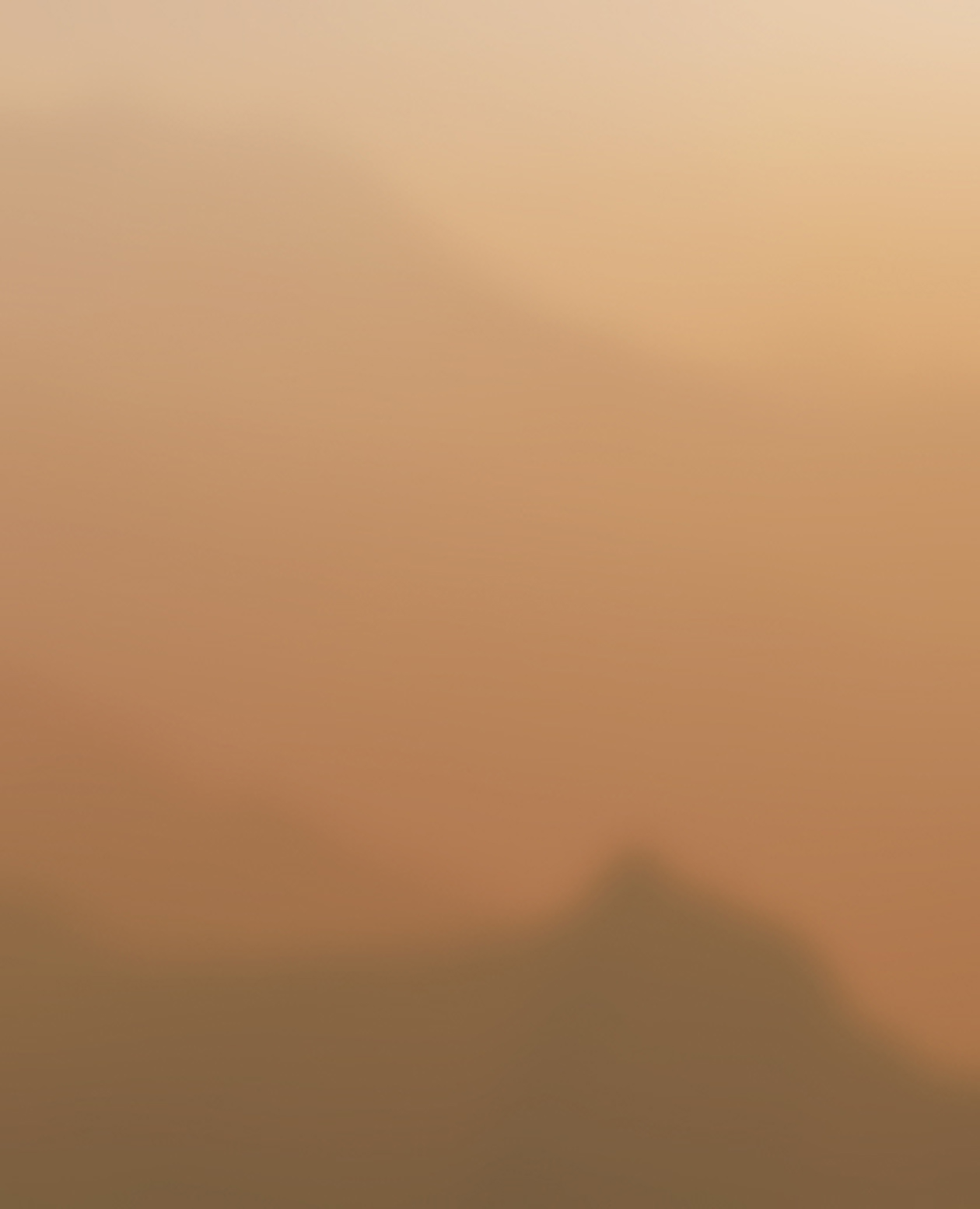 product_bg