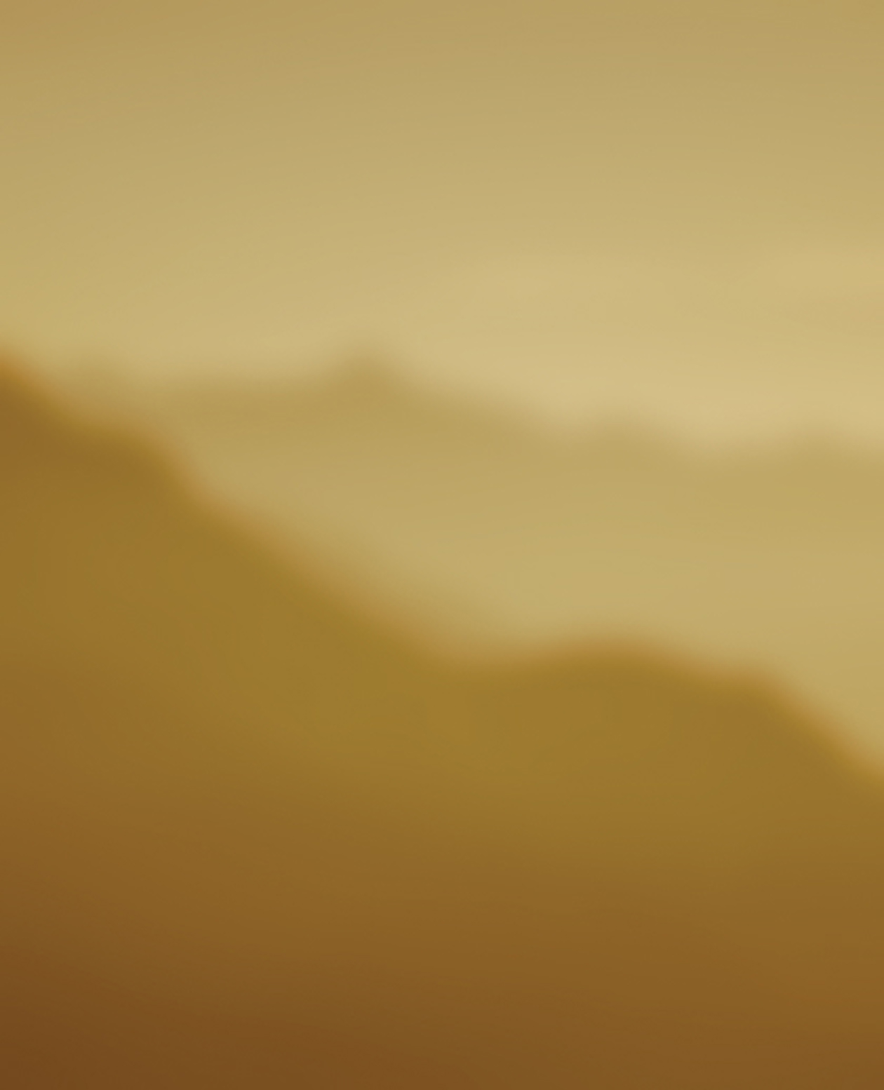 product_bg